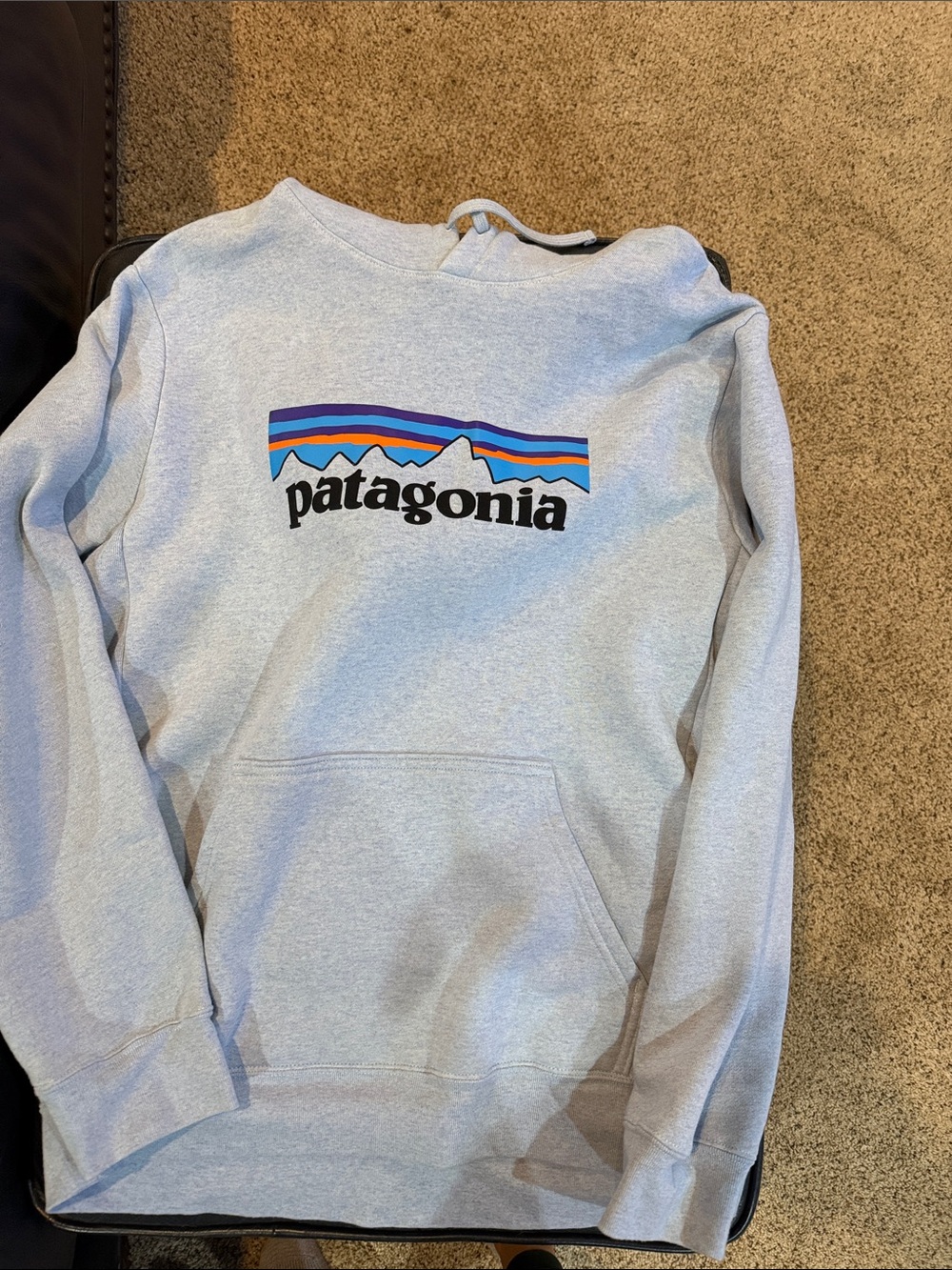 Patagonia Light Gray Crewneck Sweatshirt with Multicolor Logo